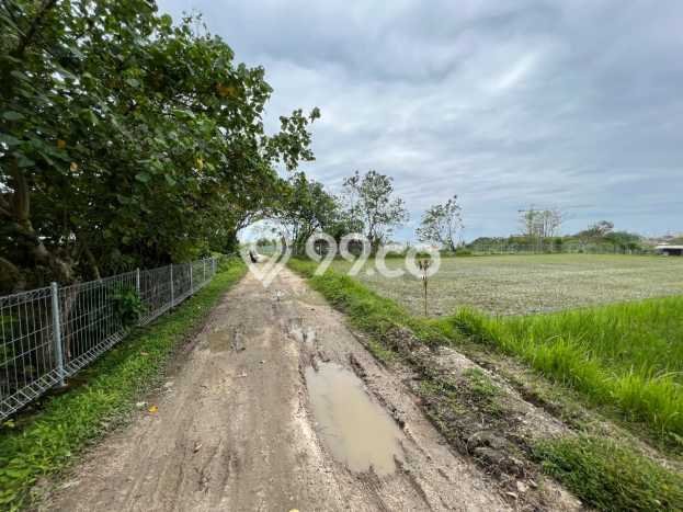 Jarang Ada! Tanah di Kediri Punya Luas 3310m2 SHM Jarang Ada! Tanah di Kediri Punya Luas 3310m2 SHM