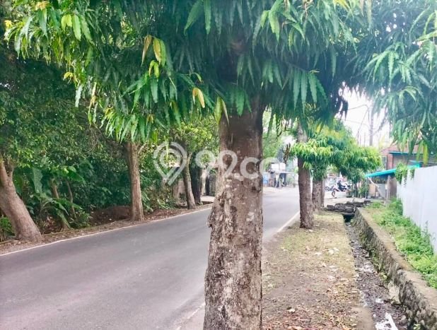Kavling Tanah di Ubud Dijual Luas 2561m2 Legalitas SHM Kavling Tanah di Ubud Dijual Luas 2561m2 Legalitas SHM