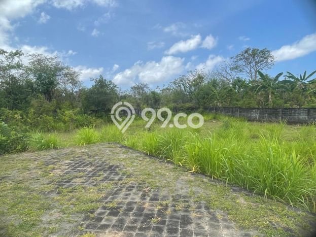 Tanah Investasi Dijual di Badung Punya Luas 553m2 Tanah Investasi Dijual di Badung Punya Luas 553m2