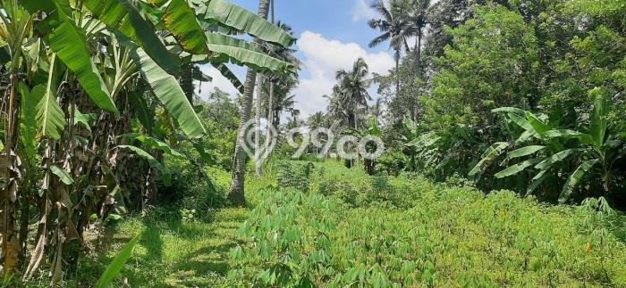 Tanah Area Berkembang Kawasan Ubud, Luas 35000m2m², Akses ke Fasilitas Umum, Akses Ubud, Gianyar, Gianyar Tanah Area Berkembang Kawasan Ubud, Luas 35000m2m², Akses ke Fasilitas Umum, Akses Ubud, Gianyar, Gianyar