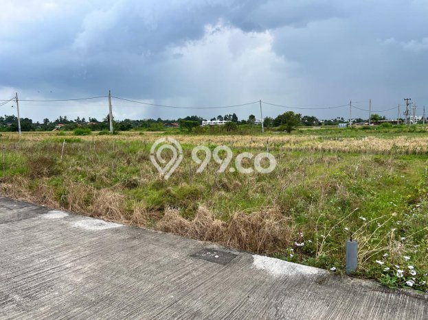 Dijual Tanah Lokasi Kedungu, Tabanan Seluas 500m2 Dijual Tanah Lokasi Kedungu, Tabanan Seluas 500m2