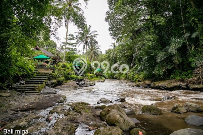 Tanah Area Berkembang Kawasan Ubud, Luas 35000m2m², Akses ke Fasilitas Umum, Akses Ubud, Gianyar, Gianyar Tanah Area Berkembang Kawasan Ubud, Luas 35000m2m², Akses ke Fasilitas Umum, Akses Ubud, Gianyar, Gianyar