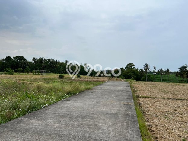 Dijual Tanah Lokasi Kedungu, Tabanan Seluas 500m2 Dijual Tanah Lokasi Kedungu, Tabanan Seluas 500m2