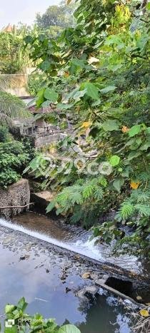 Disewakan Tanah di Ubud Luas 978m2 SHM Disewakan Tanah di Ubud Luas 978m2 SHM