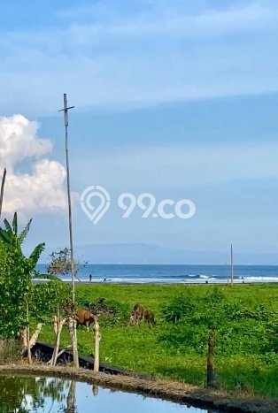 Tanah Kavling Dijual di Gianyar dengan Spesifikasi 2375m2 Tanah Kavling Dijual di Gianyar dengan Spesifikasi 2375m2
