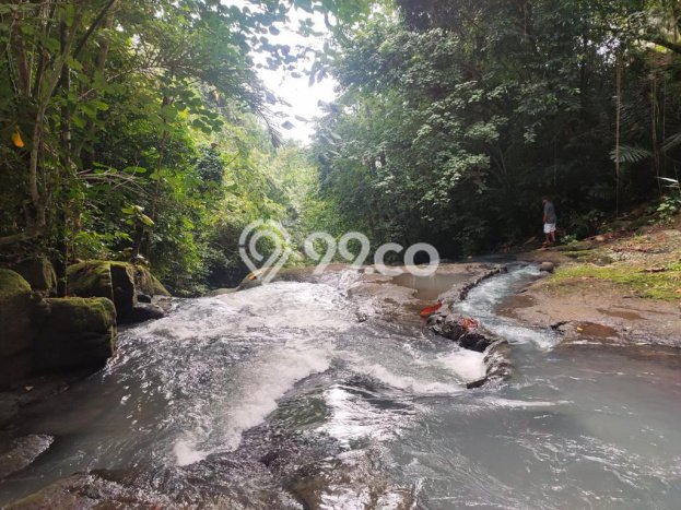 Lahan untuk Dijual Lokasi Selemadeg, Tabanan Luas 13640m2 - Lahan untuk Dijual Lokasi Selemadeg, Tabanan Luas 13640m2 -