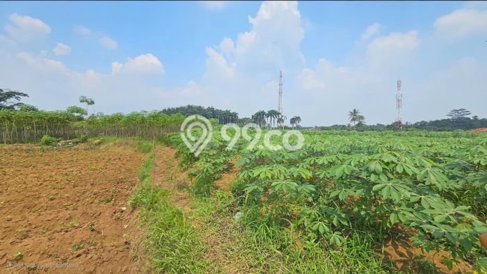 Kavling Tanah di Ciampea Dijual Luas 35000m2 Legalitas - Kavling Tanah di Ciampea Dijual Luas 35000m2 Legalitas -