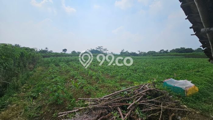 Kavling Tanah di Ciampea Dijual Luas 35000m2 Legalitas - Kavling Tanah di Ciampea Dijual Luas 35000m2 Legalitas -
