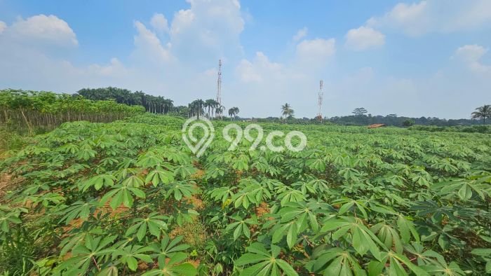 Kavling Tanah di Ciampea Dijual Luas 35000m2 Legalitas - Kavling Tanah di Ciampea Dijual Luas 35000m2 Legalitas -