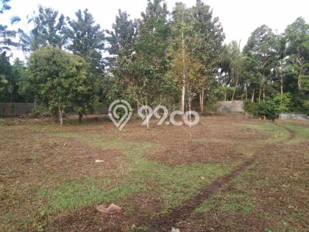 Jarang Ada! Tanah di Penebel Punya Luas 10210m2 SHM Jarang Ada! Tanah di Penebel Punya Luas 10210m2 SHM