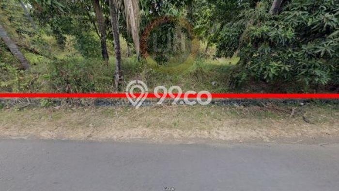 Lahan untuk Dijual Lokasi Kubutambahan, Buleleng Luas 6500m2 - Lahan untuk Dijual Lokasi Kubutambahan, Buleleng Luas 6500m2 -