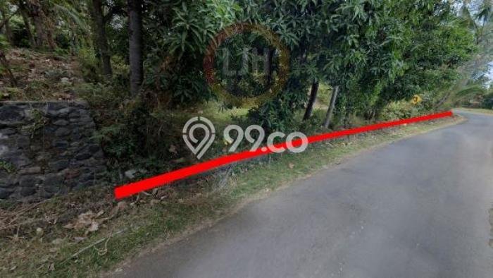 Lahan untuk Dijual Lokasi Kubutambahan, Buleleng Luas 6500m2 - Lahan untuk Dijual Lokasi Kubutambahan, Buleleng Luas 6500m2 -
