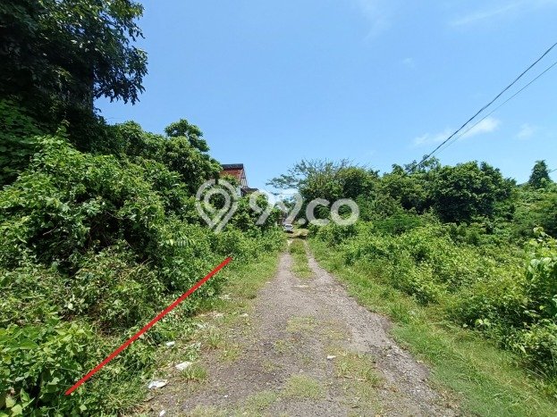Tanah Dijual di Badung Seluas 204m2 Strategis Tanah Dijual di Badung Seluas 204m2 Strategis