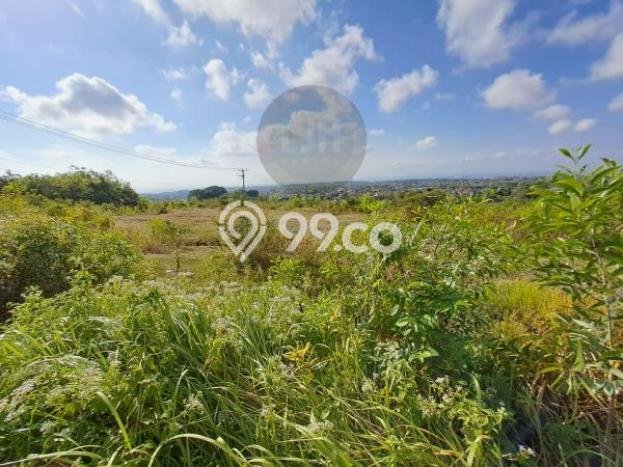 Untuk Disewa Tanah di Badung, Luas 500m2 Area Berkembang Untuk Disewa Tanah di Badung, Luas 500m2 Area Berkembang