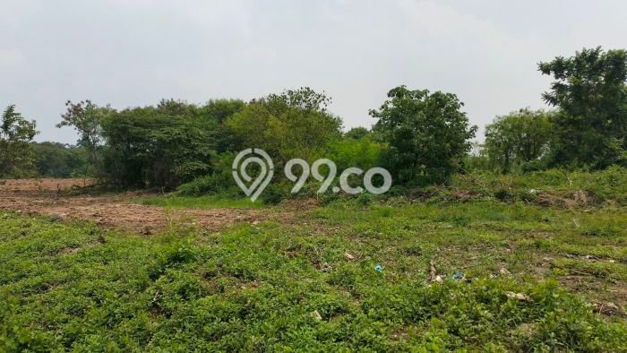 Tanah Investasi Dijual di Bekasi Punya Luas 50632m2 Tanah Investasi Dijual di Bekasi Punya Luas 50632m2