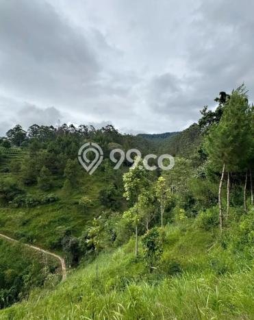 Dijual Tanah 100000m2 di Lembang, Bandung Dijual Tanah 100000m2 di Lembang, Bandung