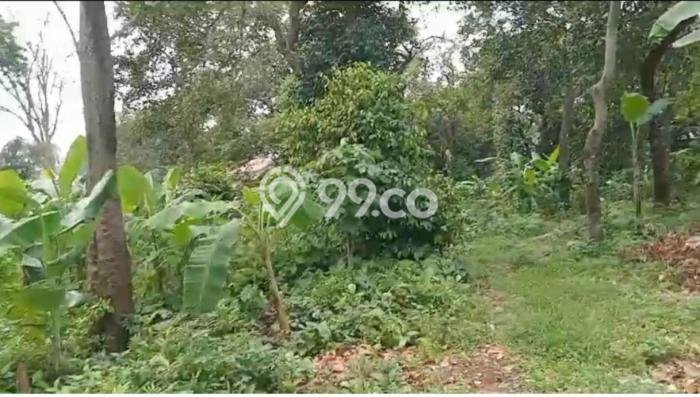 Untuk Dijual Tanah 11425m2 di Lenteng Agung, Jakarta Selatan Untuk Dijual Tanah 11425m2 di Lenteng Agung, Jakarta Selatan