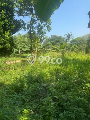 Tanah Kavling Dijual di Bandung dengan Spesifikasi 49000m2 Tanah Kavling Dijual di Bandung dengan Spesifikasi 49000m2