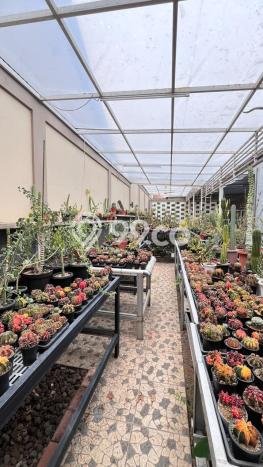 Hunian Mewah Siap Huni LT 1500m2 di Gunung Putri, Bogor Hunian Mewah Siap Huni LT 1500m2 di Gunung Putri, Bogor