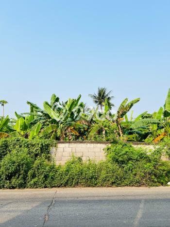 Tanah Kavling untuk Dijual di Rajeg Tangerang 19800m2 Tanah Kavling untuk Dijual di Rajeg Tangerang 19800m2
