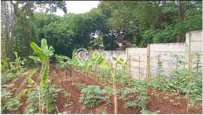 Untuk Dijual Tanah 11425m2 di Lenteng Agung, Jakarta Selatan Untuk Dijual Tanah 11425m2 di Lenteng Agung, Jakarta Selatan
