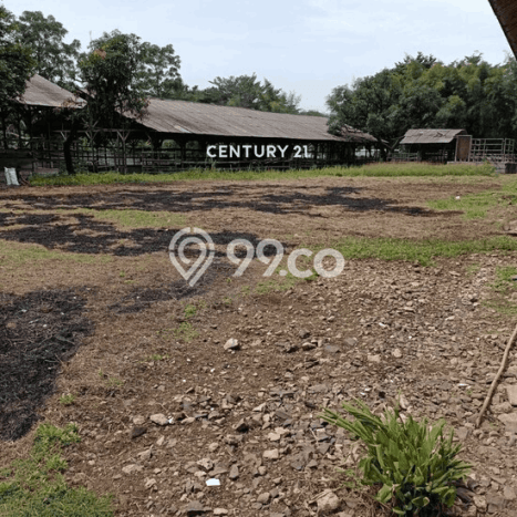 Tanah untuk Dijual di Serpong Tangerang Selatan Luas 6000m2 Tanah untuk Dijual di Serpong Tangerang Selatan Luas 6000m2