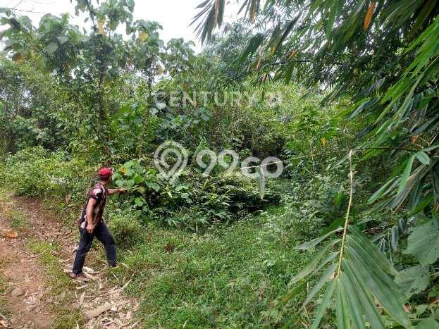 Tanah untuk Dijual Lokasi Tegalwaru, Karawang Luas 2430m2 SHM Tanah untuk Dijual Lokasi Tegalwaru, Karawang Luas 2430m2 SHM