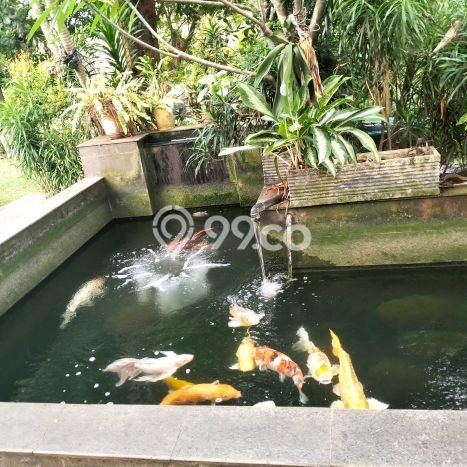 Hunian Elit LB 500m2 Siap Pakai Desain Elegan di Cirendeu, Jakarta Selatan Hunian Elit LB 500m2 Siap Pakai Desain Elegan di Cirendeu, Jakarta Selatan