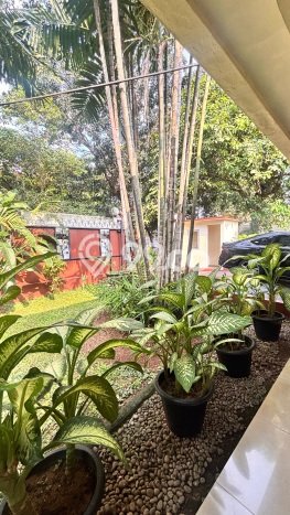 Sewa Rumah Murah di Kemang Jakarta Selatan Punya 5 Kamar Tidur Sewa Rumah Murah di Kemang Jakarta Selatan Punya 5 Kamar Tidur