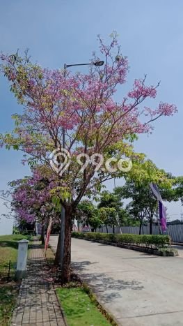 Jual Rumah Modern 3 KT di Bojong Sari, Depok Jual Rumah Modern 3 KT di Bojong Sari, Depok