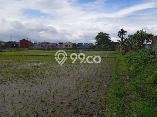 Tanah Kavling di Ciwastra Dijual dengan Luas 16384m2 Tanah Kavling di Ciwastra Dijual dengan Luas 16384m2