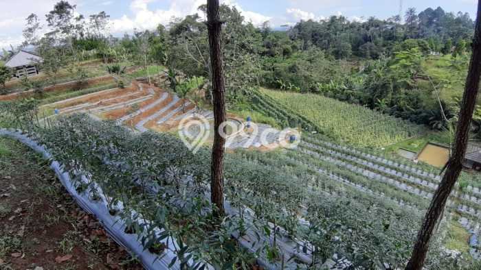 Dijual Tanah Lokasi Curug, Bogor Seluas 27358m2 Dijual Tanah Lokasi Curug, Bogor Seluas 27358m2