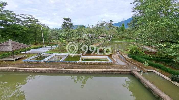 Dijual Tanah Lokasi Curug, Bogor Seluas 27358m2 Dijual Tanah Lokasi Curug, Bogor Seluas 27358m2