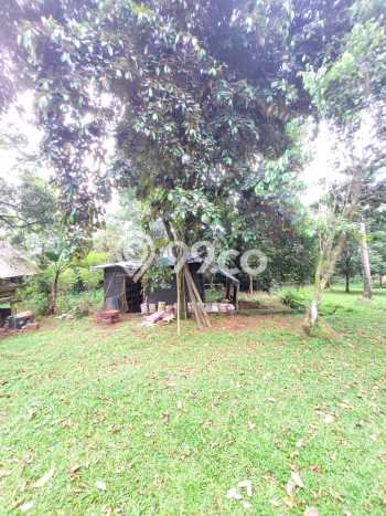 Tanah Siap Bangun Dijual di Bogor Punya Luas 5148m2 Tanah Siap Bangun Dijual di Bogor Punya Luas 5148m2