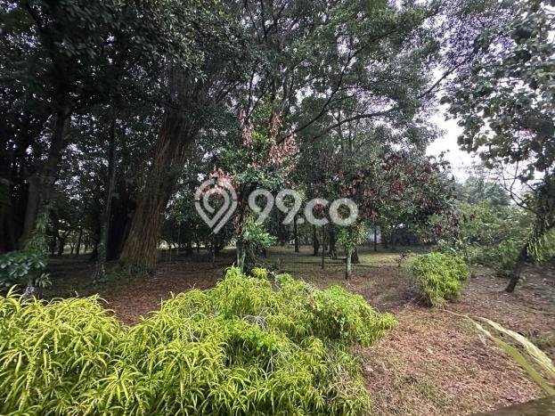 Dijual Tanah di Bogor, Luas 1498m2 SHM Dijual Tanah di Bogor, Luas 1498m2 SHM