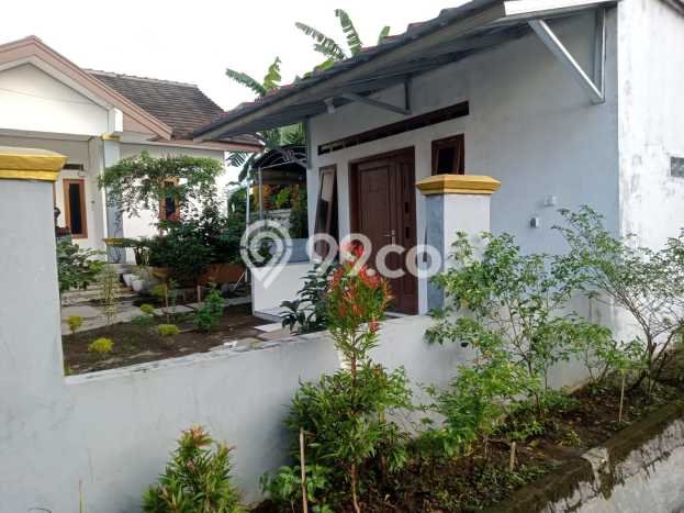 Dijual Cepat Rumah Bagus Siap Huni LB 70m2 di Dramaga, Bogor Dijual Cepat Rumah Bagus Siap Huni LB 70m2 di Dramaga, Bogor