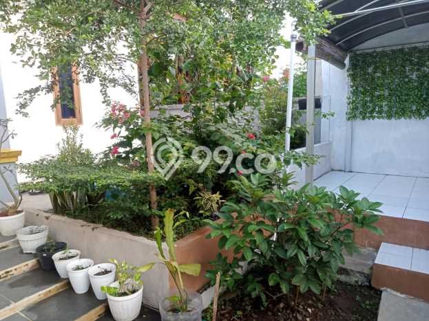 Dijual Cepat Rumah Bagus Siap Huni LB 70m2 di Dramaga, Bogor Dijual Cepat Rumah Bagus Siap Huni LB 70m2 di Dramaga, Bogor
