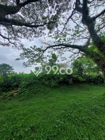 Tanah Dijual di Bogor Seluas 1559m2 Strategis Tanah Dijual di Bogor Seluas 1559m2 Strategis