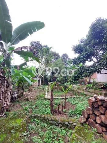 Tanah Siap Bangun Dijual di Bogor Punya Luas 5148m2 Tanah Siap Bangun Dijual di Bogor Punya Luas 5148m2