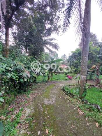 Tanah Siap Bangun Dijual di Bogor Punya Luas 5148m2 Tanah Siap Bangun Dijual di Bogor Punya Luas 5148m2