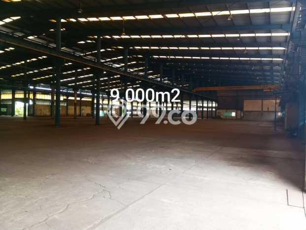 Area Strategis! Disewakan Gudang Lokasi Balaraja, Tangerang Cocok untuk Bisnis Area Strategis! Disewakan Gudang Lokasi Balaraja, Tangerang Cocok untuk Bisnis
