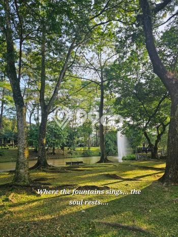 AREA PROSPEKTIF! Tanah Kawasan BSD, Luas 200m², Akses Fasilitas Umum AREA PROSPEKTIF! Tanah Kawasan BSD, Luas 200m², Akses Fasilitas Umum