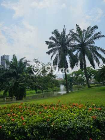 Tanah Kavling Dijual di BSD, Tangerang dengan Luas Tanah 1403m2 Tanah Kavling Dijual di BSD, Tangerang dengan Luas Tanah 1403m2
