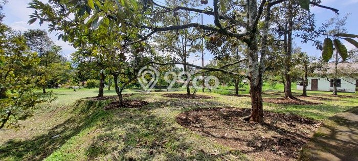 Lahan Kosong Dijual di Cijeruk, Bogor, Luas 16000m2 Area Strategis Lahan Kosong Dijual di Cijeruk, Bogor, Luas 16000m2 Area Strategis