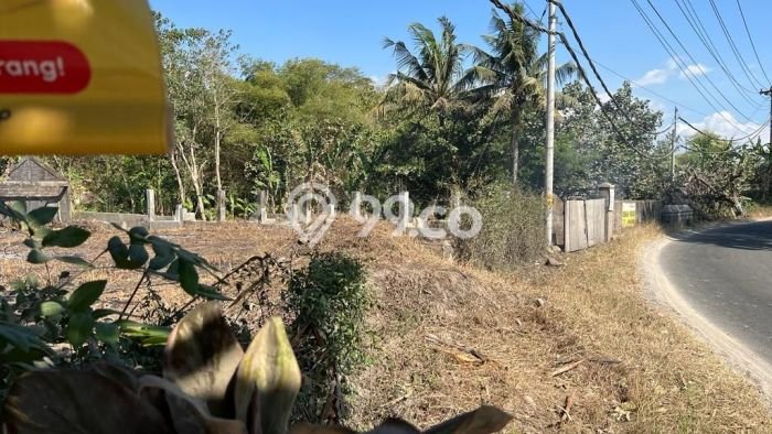 Tanah di Banyudono, Luas 2283m², Area Strategis, Lingkungan Nyaman, Bebas Banjir Tanah di Banyudono, Luas 2283m², Area Strategis, Lingkungan Nyaman, Bebas Banjir