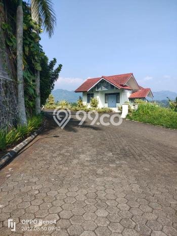 HARGA TERBAIK! Tanah Kawasan Cipanas, Luas 1180m², Dekat Jalan Utama, Cocok untuk Investasi HARGA TERBAIK! Tanah Kawasan Cipanas, Luas 1180m², Dekat Jalan Utama, Cocok untuk Investasi