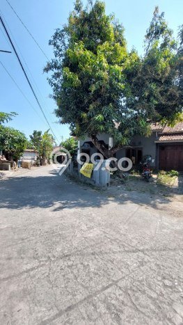 Rumah Modern Cantik 3 Kamar Bisa Langsung Pindah di Kasihan Rumah Modern Cantik 3 Kamar Bisa Langsung Pindah di Kasihan