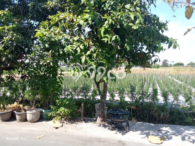 Tanah Kawasan Prambanan, Luas 2975m2m², Lokasi Strategis, Kawasan Asri, Kontur Datar Tanah Kawasan Prambanan, Luas 2975m2m², Lokasi Strategis, Kawasan Asri, Kontur Datar