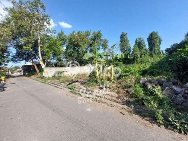 PENAWARAN MENARIK! Tanah Kawasan Tegalrejo, Luas 509m2m², Lokasi Prima PENAWARAN MENARIK! Tanah Kawasan Tegalrejo, Luas 509m2m², Lokasi Prima