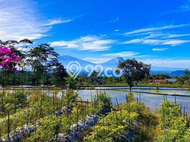 Vila Kawasan Bandongan, Dimensi 1640m2m², Dekat ke beragam keperluan Vila Kawasan Bandongan, Dimensi 1640m2m², Dekat ke beragam keperluan